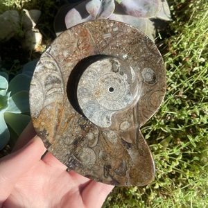 Ammonite fossil incense holder/burner